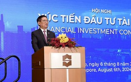 Viet Nam, Singapore spur financial investment promotion