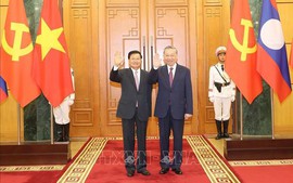 Top Vietnamese, Lao leaders hold talks in Ha Noi