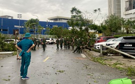 Yagi death toll in Viet Nam passes 260