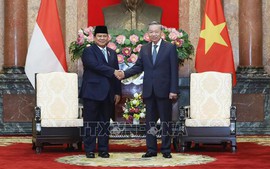 Viet Nam, Indonesia eye US$18 bln in bilateral trade by 2028