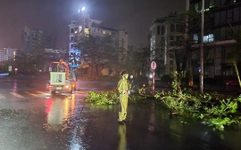 Foreign leaders extend sympathies to Viet Nam over typhoon Yagi-induced consequences