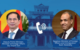 Deputy PM holds phone talks with Egyptian Foreign Minister