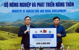 South Korea hands over US$2 million in aid to help Viet Nam overcome Yagi consequences