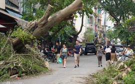 Typhoon Yagi costs Viet Nam more than US$2 billion, Gov't says