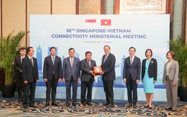 Viet Nam-Singapore Innovation Talent Exchange Program launched