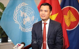 Viet Nam, UN join hands to shape better furture for humanity