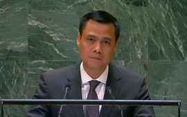 Viet Nam supports UNGA's resolution regarding occupied Palestinian territories