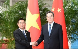 DPM holds talks with Chinese Vice Premier