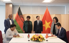 Viet Nam sets up diplomatic relations with Malawi