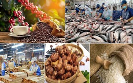 U.S. becomes largest importer of Vietnamese agricultural, forestry and fishery products