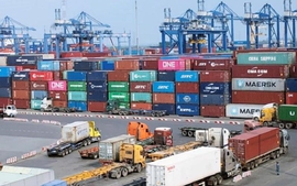 Trade turnover estimated to reach over US$511 in January-August