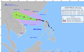 Gov't chief demands high readiness to brace for superstorm Yagi