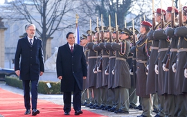 Czech Prime Minister hosts official welcome ceremony for Vietnamese counterpart