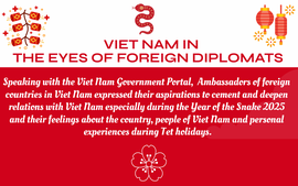 INFOGRAPHICS: Viet Nam in the eyes of foreign diplomats