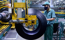 Viet Nam's PMI in December falls to three-month low