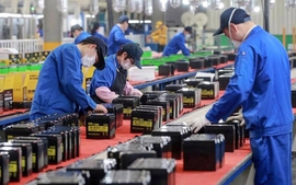 European businesses optimistic about the economic prospects of Viet Nam