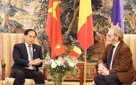 Viet Nam urges Belgium to ratify EVIPA this year