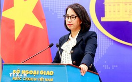 Viet Nam welcomes ceasefire agreement between Israel, Hamas: Spokesperson