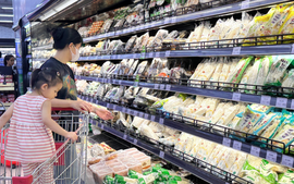Viet Nam to raise monthly personal income tax deductions from 2026