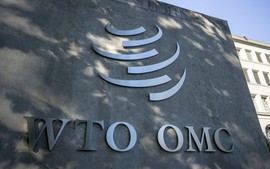 Viet Nam joins WTO Multi-party Interim Appeal Arbitration Arrangement