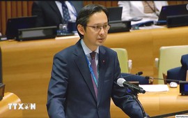 Viet Nam calls for decisive actions towards total elimination of nuclear weapons