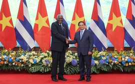 Viet Nam pledges practical support for Cuba