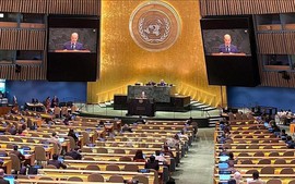 Viet Nam calls for comprehensive solution to Myanmar crisis