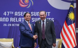 Prime Minister Pham Minh Chinh meets Malaysian counterpart
