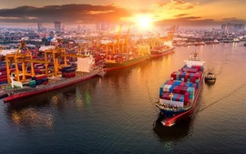 HSBC raises Viet Nam 2025 GDP growth forecast to 7.9%