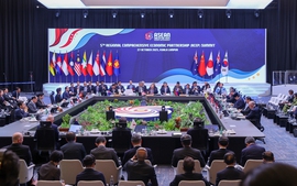 Viet Nam pledges full compliance with RCEP commitments