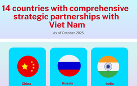 INFOGRAPHICS: Viet Nam's 14 top-tier partnership frameworks