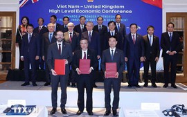 Viet Nam, UK sign cooperation agreements