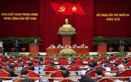 Four new members elected to Central Inspection Commission