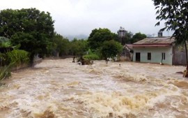 Landslides kill three in Viet Nam’s northern region