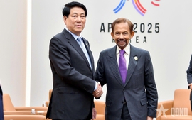 State President meets foreign leaders on sidelines of APEC Economic Leaders' Meeting