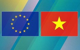 EU, Viet Nam look to upgrade their relationship to Comprehensive Strategic Partnership
