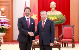 Party leader receives Slovak Deputy PM