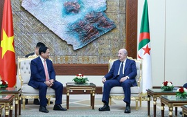 Traditional friendship between Viet Nam and Algeria is priceless asset: President Abdelmadjid Tebboune