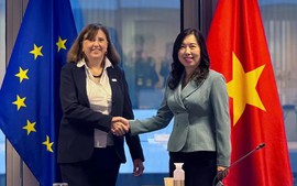 EU provides €850,000 for Viet Nam’s disaster recovery efforts