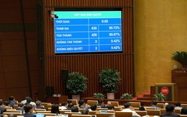 Four laws on judicial affairs passed