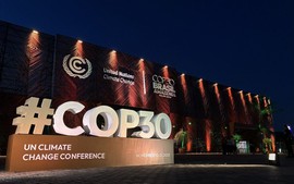 COP30: Breakthrough opportunity for Viet Nam in clean energy and climate finance