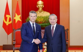 Party leader calls for stronger U.S.–Viet Nam cooperation in war legacy remediation