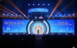 Viet Nam seeks comprehensive strategy for effective dengue control