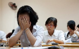 Gov't issues Decree on administrative sanctions in domestic violence prevention field