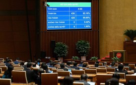 Viet Nam passes law banning e-cigarette, heated tobacco businesses