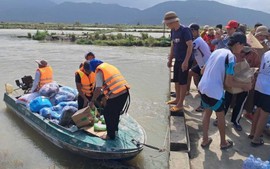 Japan, Brazil support Viet Nam in post-natural disaster recovery efforts