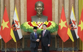Viet Nam, Brunei issue Joint Statement