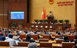 Law on the State of Emergency adopted