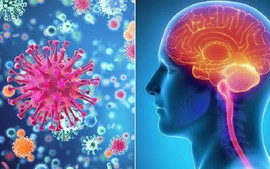 Meningococcal group B disease remains a public health threat