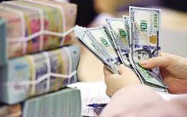 Remittance inflows into HCM City to set new record this year